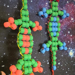 May include: Two lizard-shaped ornaments crafted from matte plastic pony beads strung on cord. The left lizard features green and coral beads on yellow cord. The right lizard features green and blue beads on red cord, with red head accents.