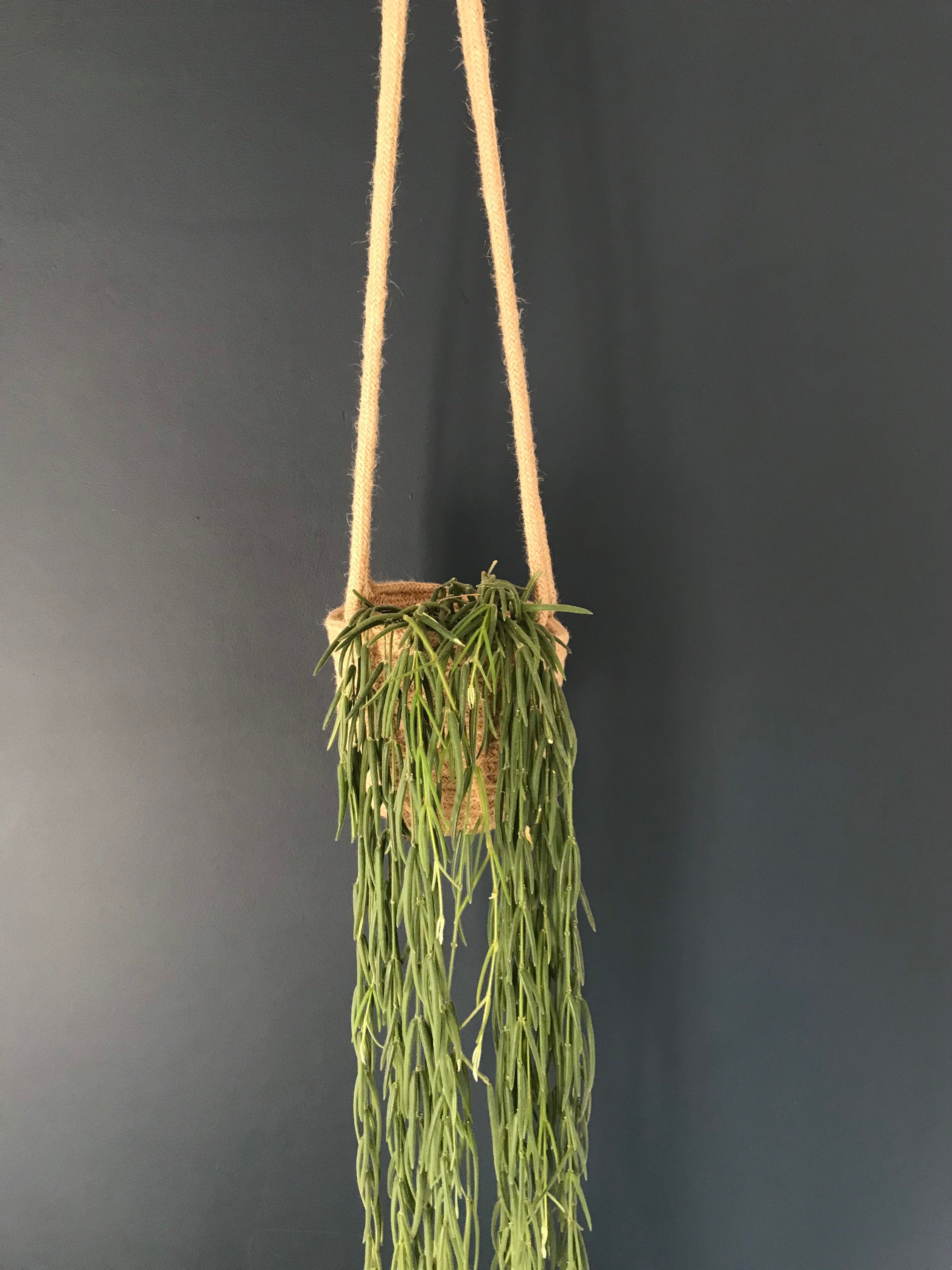 Jute Rope Plant Hanger indoor plant hanger Jute rope hanger Etsy