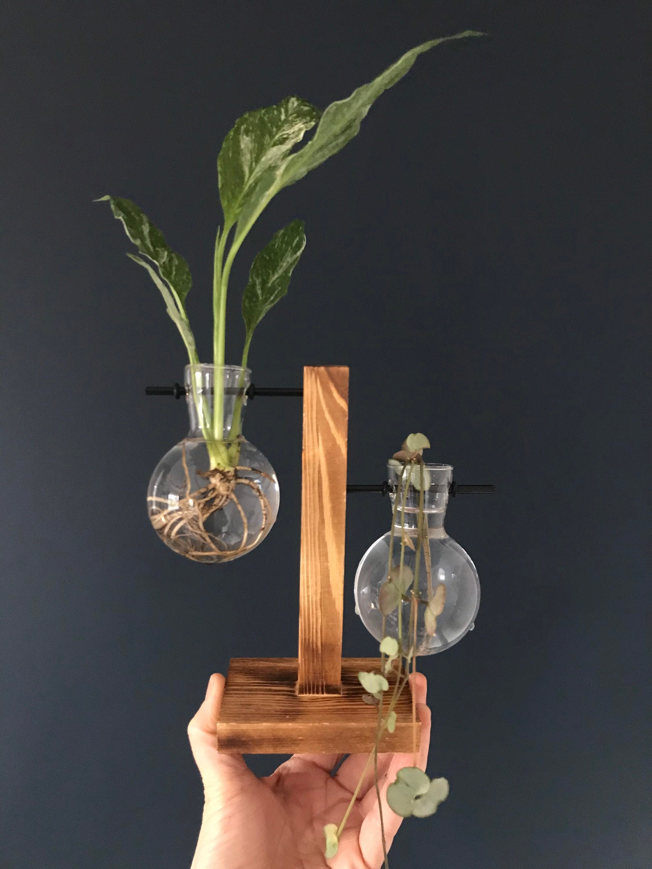 Double propagation station wooden plant propagation station Etsy