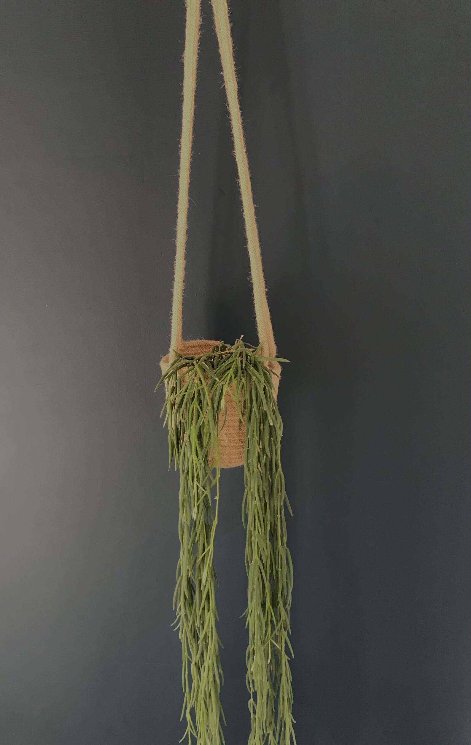 Jute Rope Plant Hanger indoor plant hanger Jute rope hanger Etsy