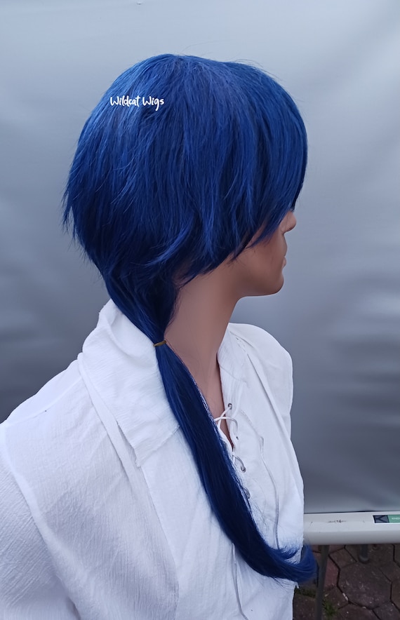 Sale Way Cool Anime Blue Wig With Ponytail Cosplay USA Seller Fast Shipping Etsy Israel