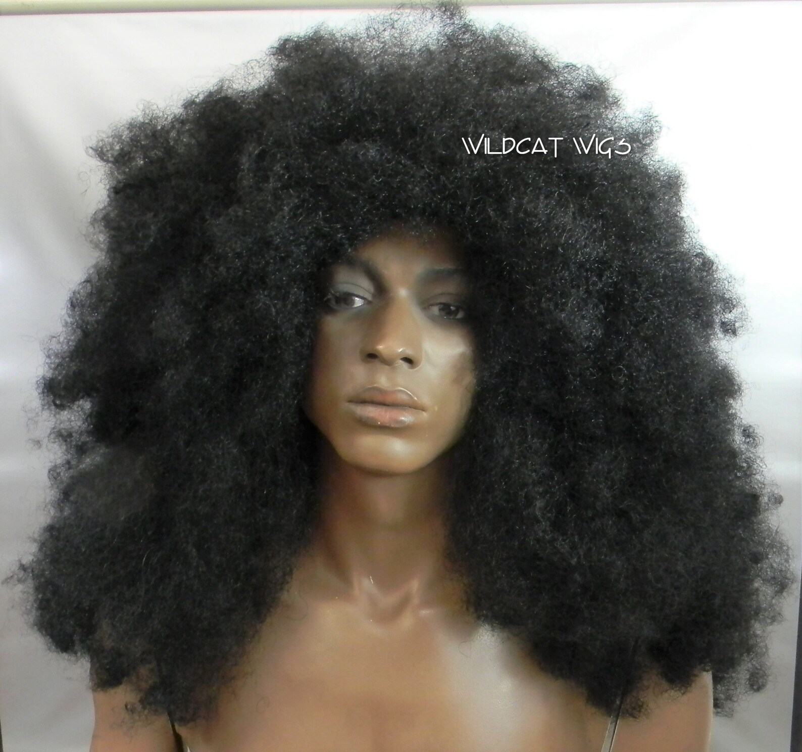 HUGE AFRO WIG .. Great for a Party or Halloween, Etc. Unisex Wig! Goes ...