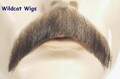 Mustache .. Walrus COLOR CHOICE.  Human Hair QUALITY item for Theater or Costume