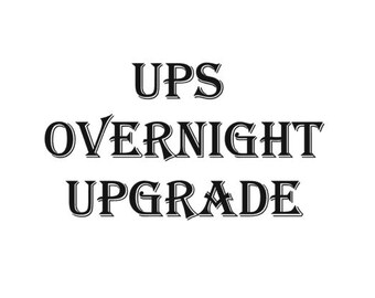 UPS 1 DAY Air Shipping Upgrade