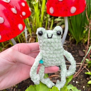 MADE TO ORDER Tiny velvet frog plushie image 3