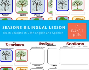 Seasons In English And Spanish, Bilingual Seasons Lesson, Homeschool Lesson, Fill In The Blank, Writing Activity - PDF Instant Download