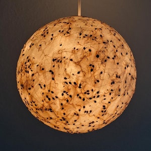 Round paper lampshade plants, seeds, pendant lamp, ceiling lamp, ball lamp, hanging lamp, natural materials
