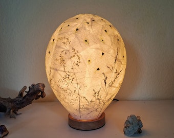 Oval paper lampshade plants natural materials teardrop shape floor lamp hanging lamp ceiling lamp