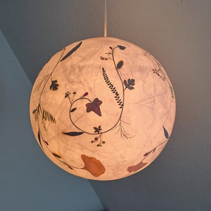 round paper lampshade & pressed plants, ginkgo leaves, ceiling lamp, hanging lamp image 1