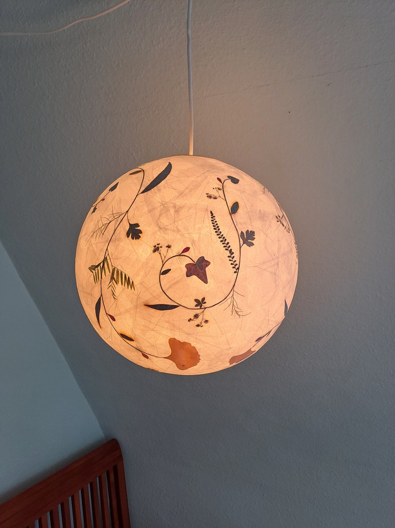 round paper lampshade & pressed plants, ginkgo leaves, ceiling lamp, hanging lamp image 4