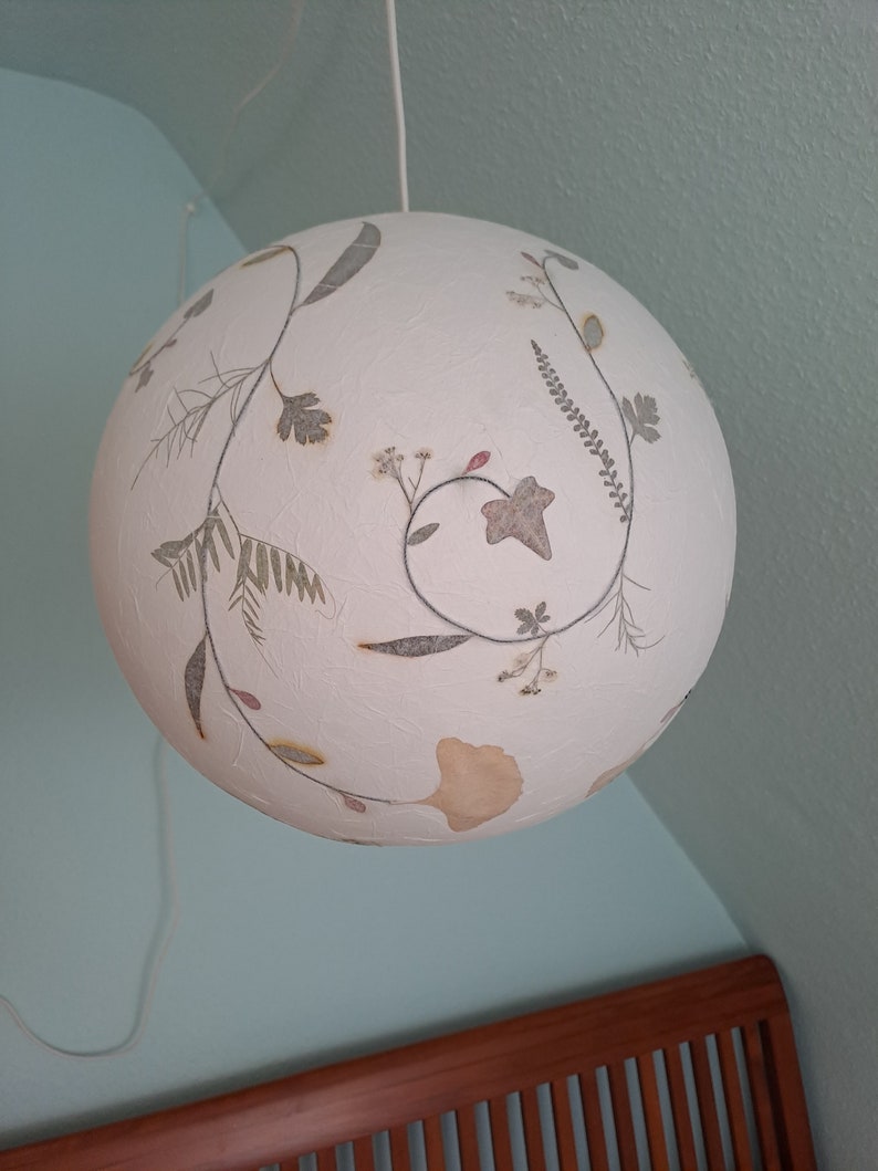 round paper lampshade & pressed plants, ginkgo leaves, ceiling lamp, hanging lamp image 8