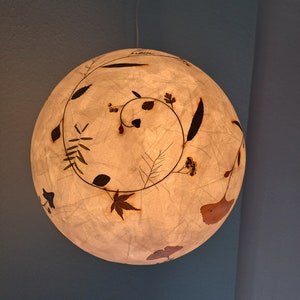 round paper lampshade & pressed plants, ginkgo leaves, ceiling lamp, hanging lamp image 5