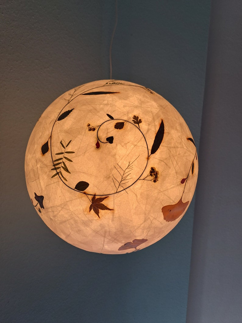 round paper lampshade & pressed plants, ginkgo leaves, ceiling lamp, hanging lamp image 5