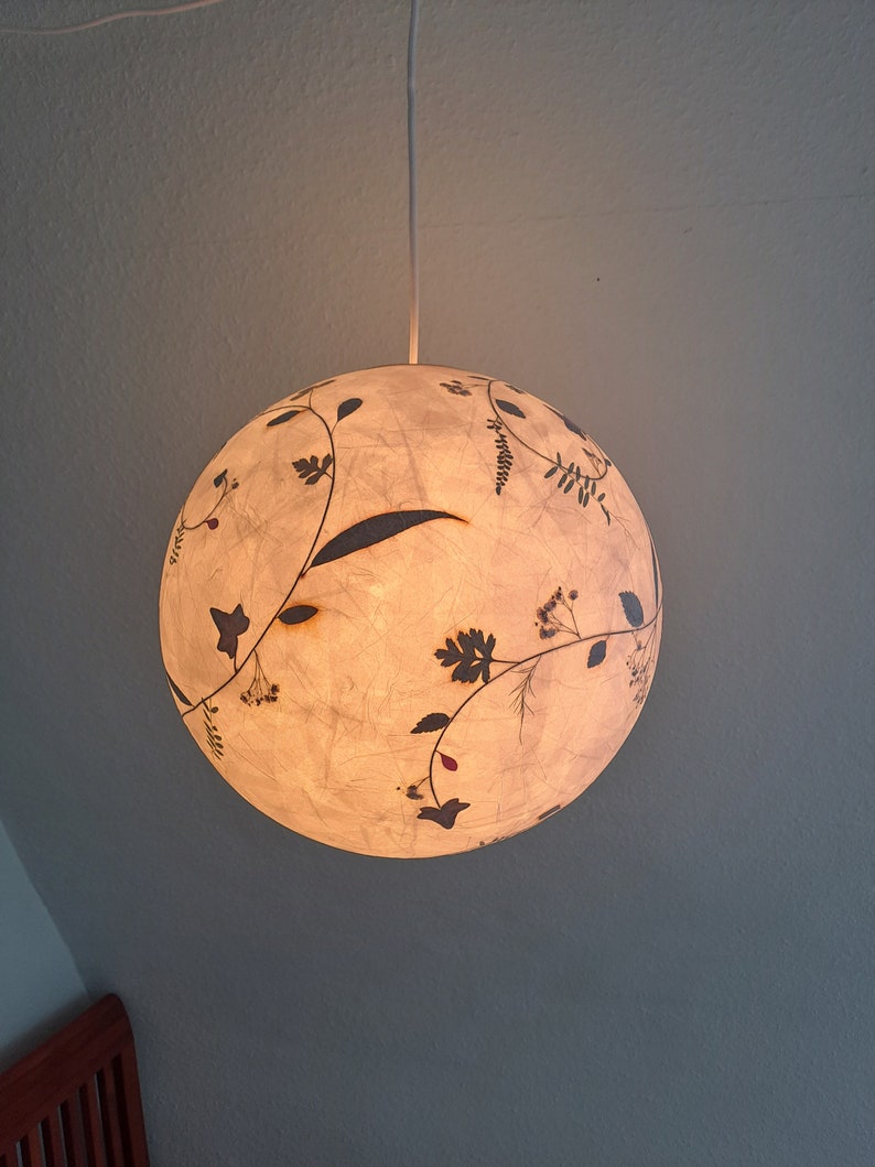 round paper lampshade & pressed plants, ginkgo leaves, ceiling lamp, hanging lamp image 2