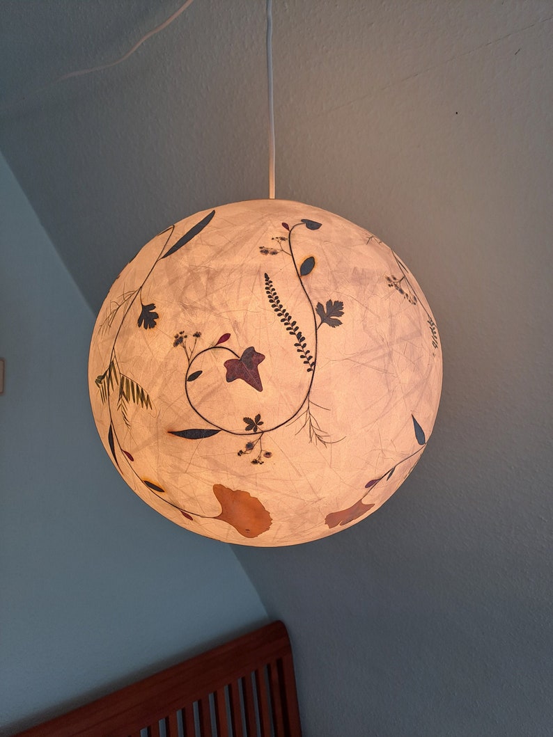 round paper lampshade & pressed plants, ginkgo leaves, ceiling lamp, hanging lamp image 1