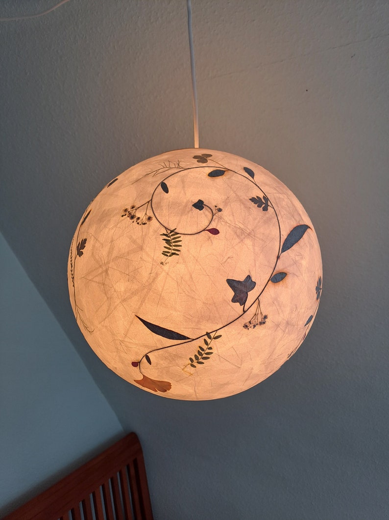 round paper lampshade & pressed plants, ginkgo leaves, ceiling lamp, hanging lamp image 6