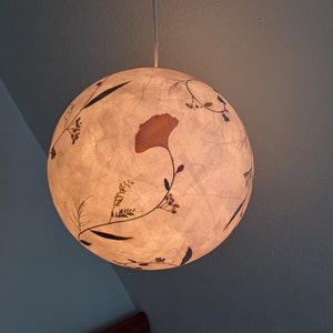 round paper lampshade & pressed plants, ginkgo leaves, ceiling lamp, hanging lamp image 3