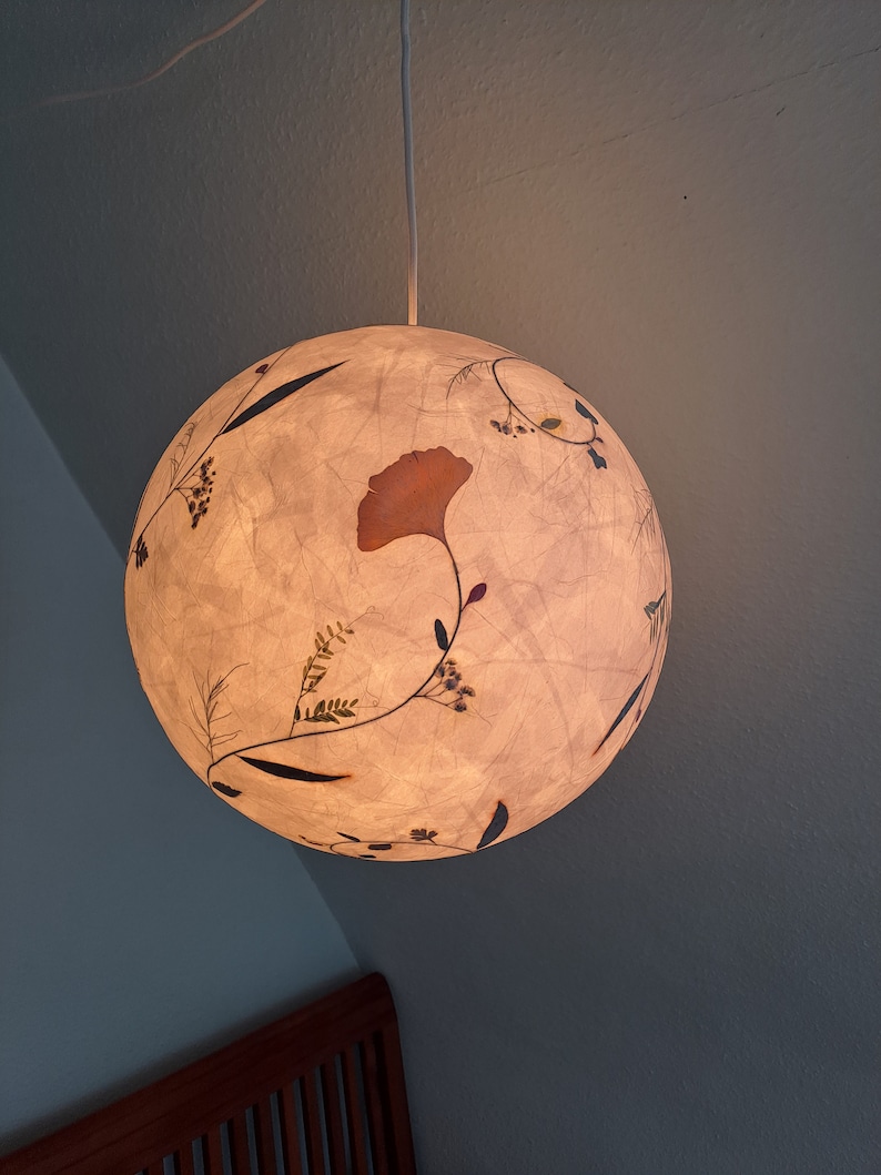 round paper lampshade & pressed plants, ginkgo leaves, ceiling lamp, hanging lamp image 3