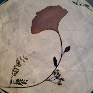 round paper lampshade & pressed plants, ginkgo leaves, ceiling lamp, hanging lamp image 7