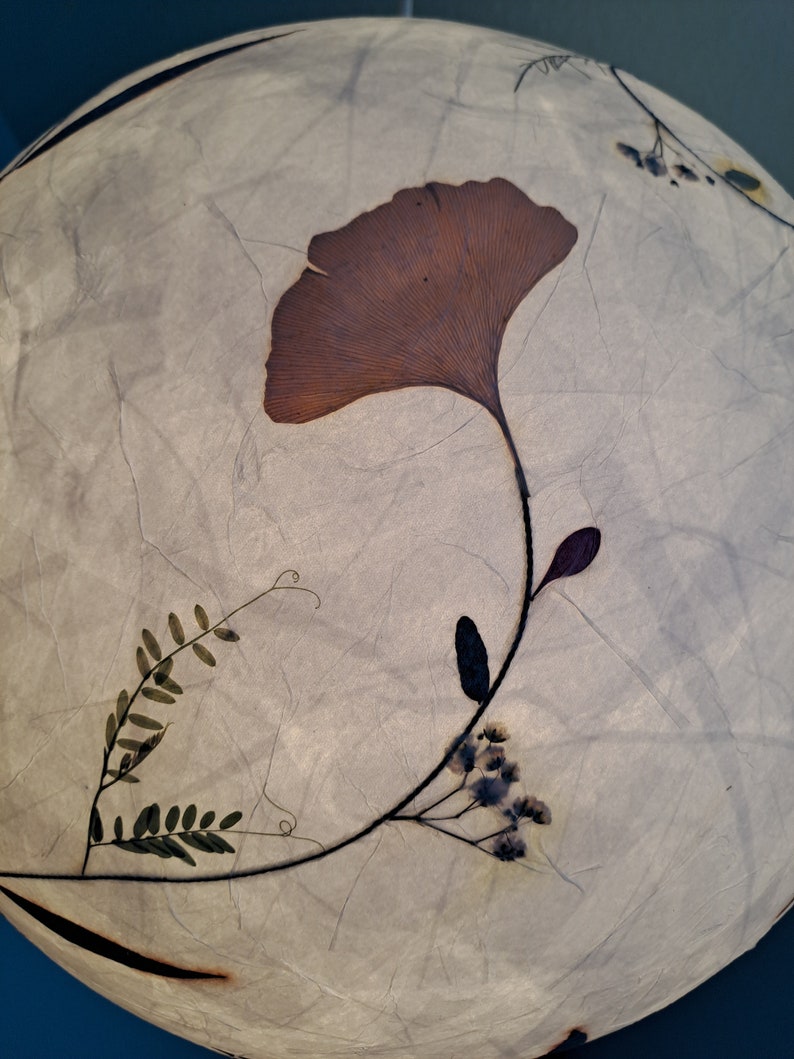 round paper lampshade & pressed plants, ginkgo leaves, ceiling lamp, hanging lamp image 7