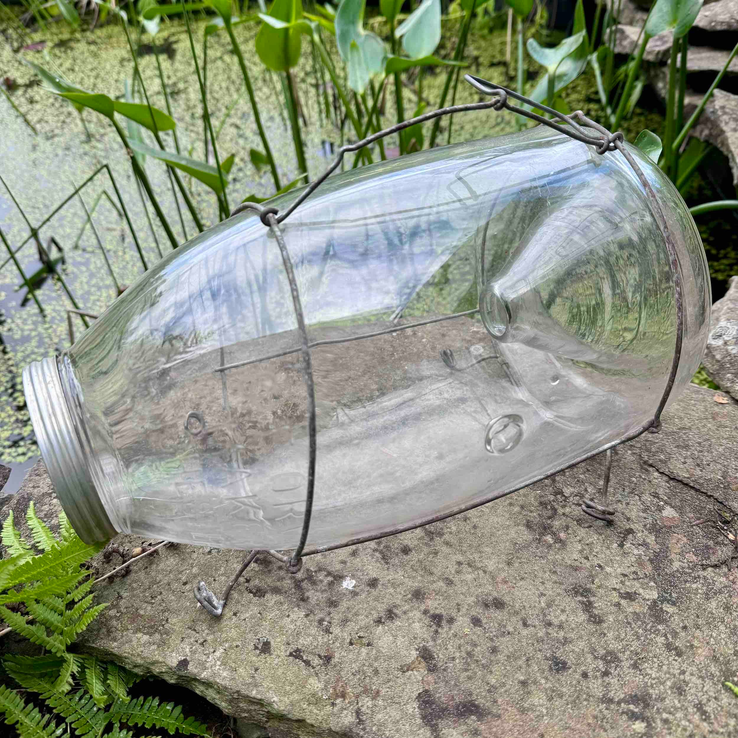 Vintage-Style Glass Minnow Bottle Vintage-Style Glass Minnow Bottle