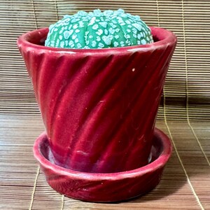 May include: A vibrant green cactus with white spots sits in a glossy red ceramic pot. The pot has a spiral design and a matching saucer. The plant pot is a decorative item for home or office.