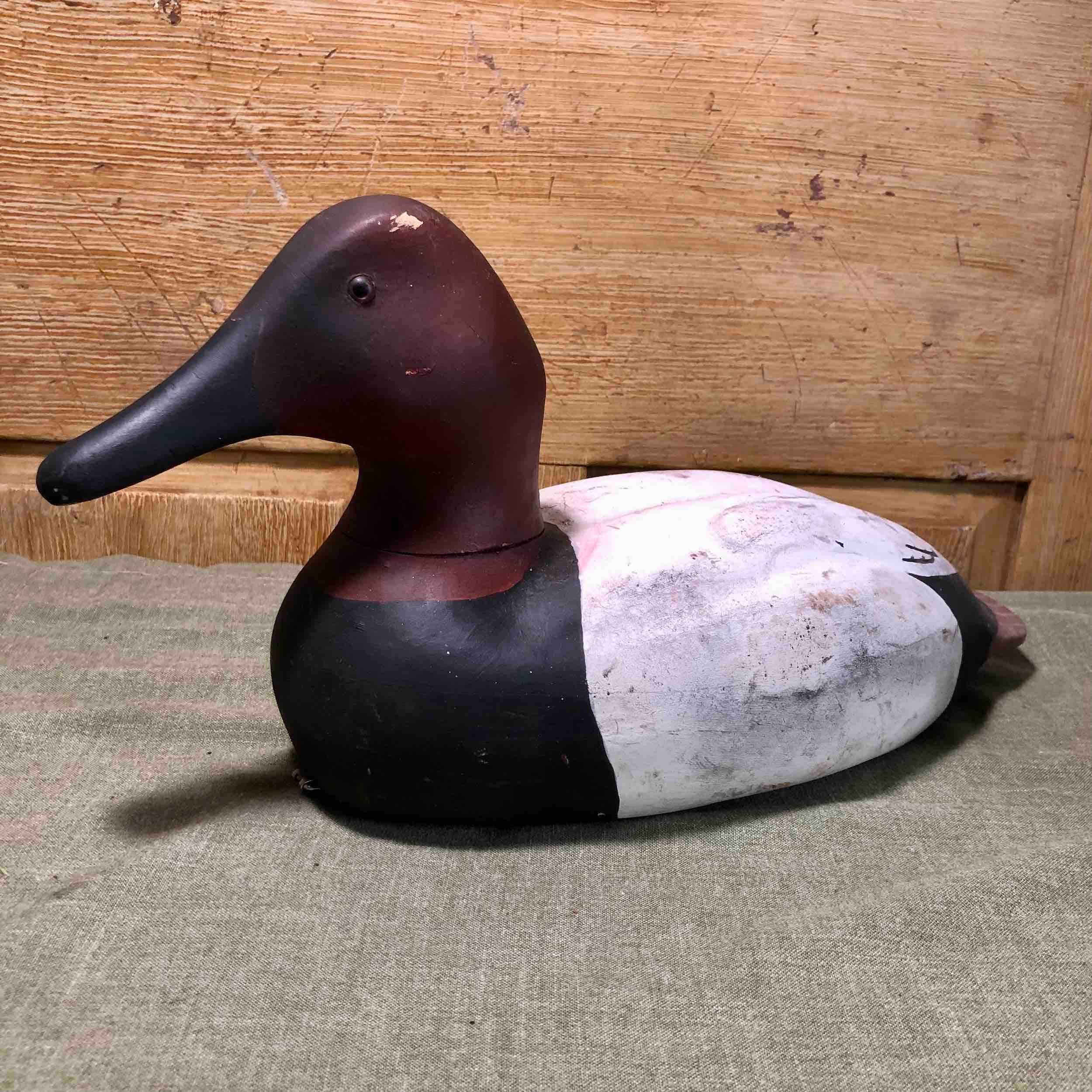 Working Canvasback Decoy