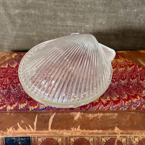 May include: A clear, glass seashell-shaped decorative object. The glass has a ribbed texture, with a detailed pattern. The object is resting on a book with a red and gold patterned cover, against a neutral background.