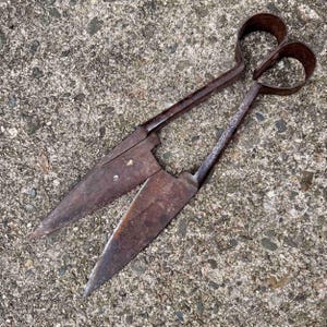 Antique Hand-Forged Sheep Shears, 13" Primitive Iron Tool, Graphic Farm Relic or Rustic Sculpture