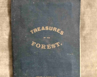 Treasures of the Forest 1886