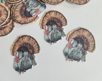 Wild Turkey Confetti, Thanksgiving Turkey Table Decoration, Turkey Craft, Made in America