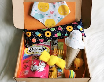 Summer Cat Gift Box, Catnip Felt Ice Cream Gift Box, Sunshine Bandana, Gifts For Cat Lovers, New Pet Presents, Gotcha Day Gifts, Crazy Cat