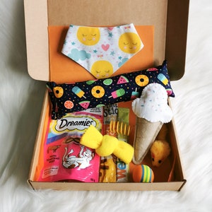 Summer Cat Gift Box, Catnip Felt Ice Cream Gift Box, Sunshine Bandana, Gifts For Cat Lovers, New Pet Presents, Gotcha Day Gifts, Crazy Cat