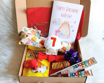 Cat Birthday Gift Box With Handmade Toys and Treats