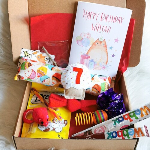 Birthday Cat Toy Gift Box Etsy