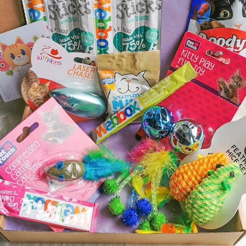 Birthday Cat Toy Gift Box Etsy