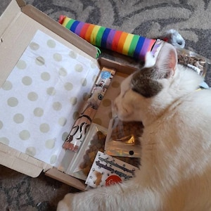 A white and black cat rolling on top of their cat gift box with their handmade strong smelling catnip toys