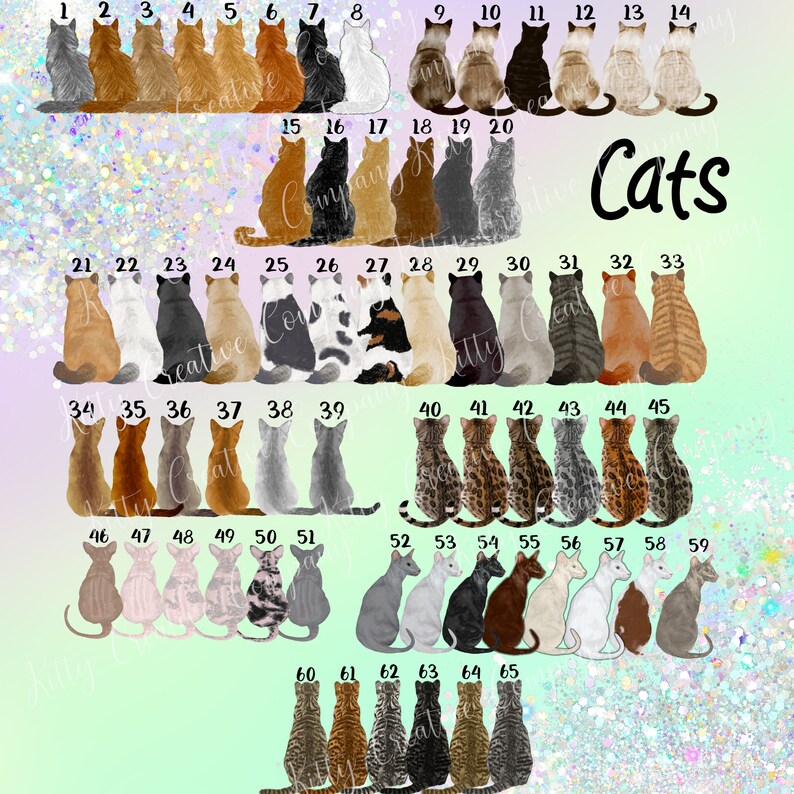 Carte de joyeux anniversaire chat, cartes d'anniversaire pour propriétaires de chats, cartes d'anniversaire chat personnalisées, jolies cartes chat de célébration, dame folle aux chats image 6