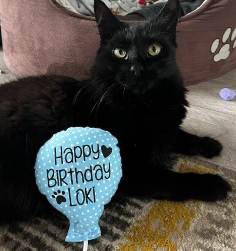 A black cat with green eyes is sitting next to a blue and white polka dot catnip cat toy balloon with the text 'Happy Birthday Loki' on it.