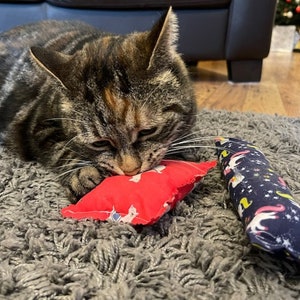 A tabby cat playing with the catnip toys from the cat gift box