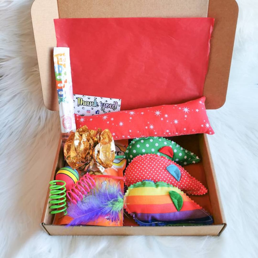 Cat Toy and Treat Gift Box, Cat and Kitten Gift Box, Cat Goodie Box