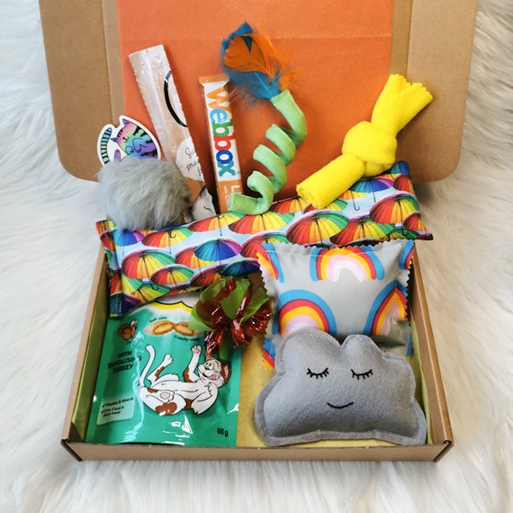 Rainbow Theme Cat Toy and Treat Box, Kawaii Themed Cat Presents