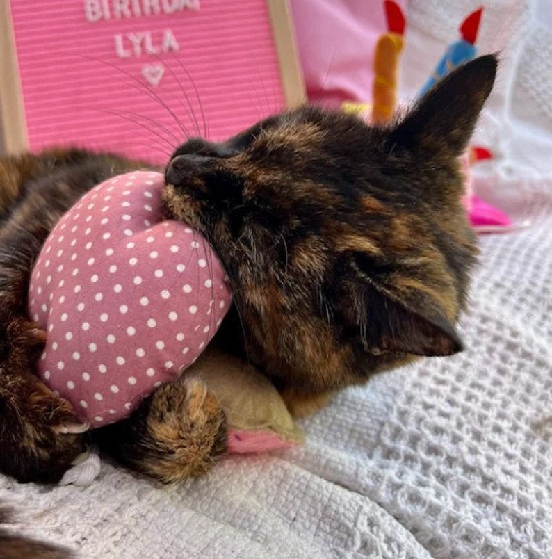A tortoiseshell cat with green eyes is lying on a white blanket. The cat is holding a pink catnip cat toy balloon  with white polka dots.
