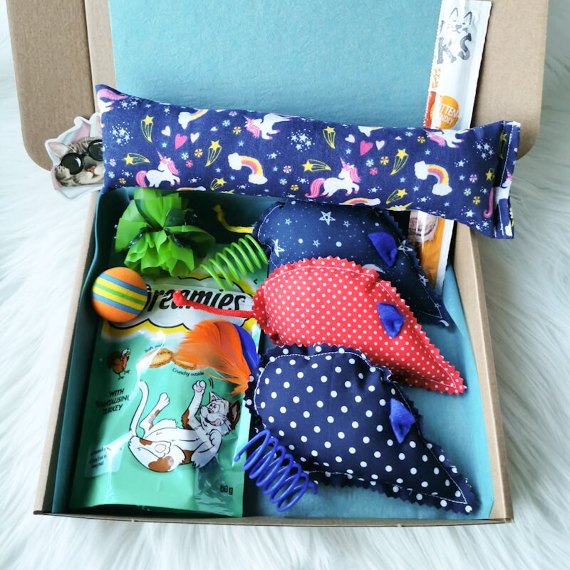 Love Donuts Catnp Box | Fun Catnp Toys for Kttens | Shy Cat Toys