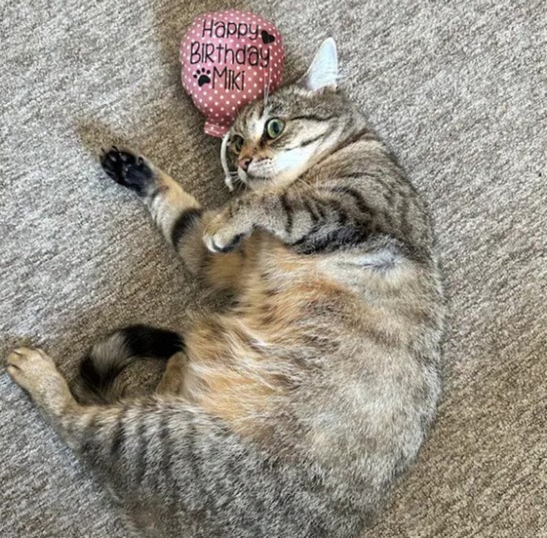 A tabby cat lying on a gray carpet with a pink catnip cat toy balloon that says 'Happy Birthday Miki'.