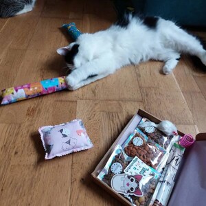 A tuxedo cat playing with the catnip kicker from their cat gift box