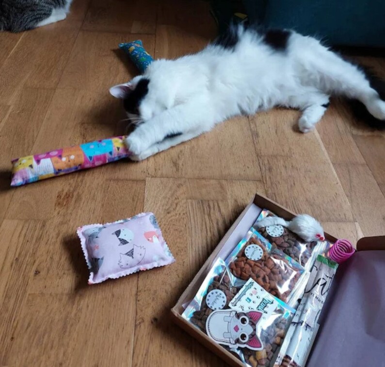 A tuxedo cat playing with the catnip kicker from their cat gift box