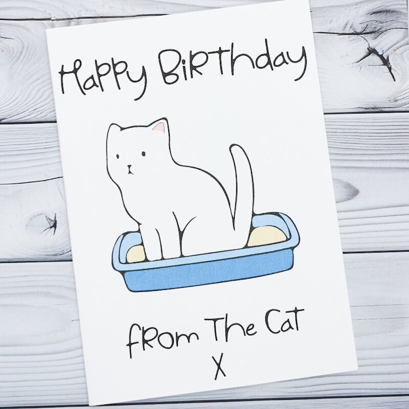 Funny Cat Birthday Card From the Cat, Novelty Joke Cards for Birthdays ...
