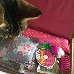A tabby cat sniffing the handmade strong smelling catnip toys inside their cat gift box