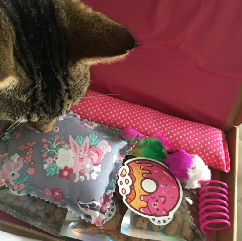 A tabby cat sniffing the handmade strong smelling catnip toys inside their cat gift box